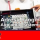 Adresli Yangın Algılama Sistemi Perpa