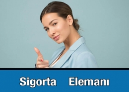 Sigorta Elemanı Kılavuz Sigorta