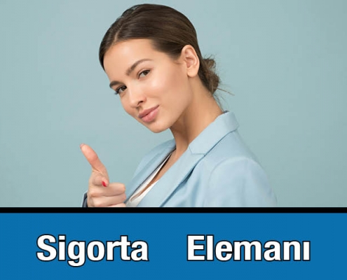 Sigorta Elemanı Kılavuz Sigorta