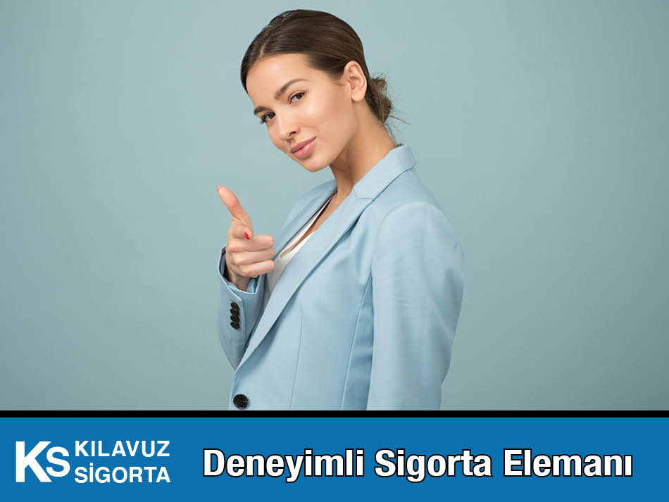 Sigorta Elemanı Kılavuz Sigorta