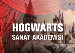 Hogwarts Sanat Akademisi Perpa